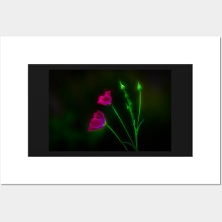 Glowing Wine Cups Wildflowers Posters and Art